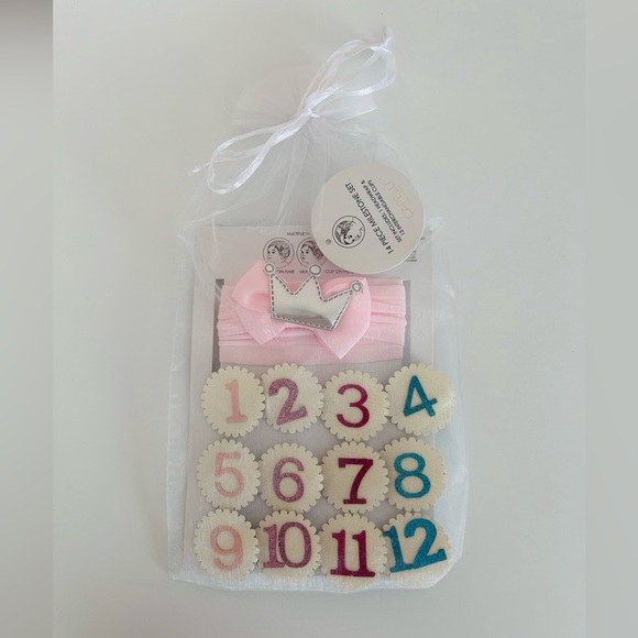 Other - 1-12 months milestone princess headband for photos